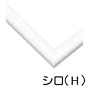 �W�O�\�[�p�l�� �i�`�������p�l�� H-101/10-D (49�~72cm) 10-D