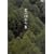 �k�̍����� Vol.8 [DVD]