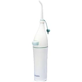 �V�`�Y�� ���Ԑ��� �f���^���V�����[ DS1100-01