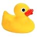 Sassy ���o�[ �E �_�b�L�[   Soft Ducky