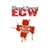 WWE ECW �u���b�h�E�X�|�[�c [DVD]