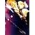 03.06.11 Zepp Tokyo~sads 2003 tour�g13�h-Thirteen-~ [DVD]