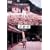 Dr.�R�g�[�f�Ï� �X�y�V�����E�G�f�B�V���� 1 [DVD]