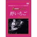�삢���� [DVD]