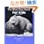 The Blue Day Book for Kids�\�������ޓ����Ă�����? (�u���[�f�C�u�b�N�V���[�Y (8))