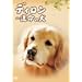 �f�B���� �^���̌� [DVD]