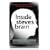 Inside Steve's Brain: Business Lessons from Steve Jobs, the Man Who Saved Apple
