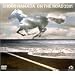 ON THE ROAD 2001�i�ʏ�Łj [DVD]