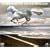 ON THE ROAD 2001�i�ʏ�Łj [DVD]