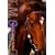 �e�C�G���I�y���I�[ ���I���삯��7���n [DVD]