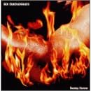 Burning Hammer(�ʏ��)