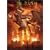 ���b�V���E�C���E���I [DVD]