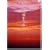 �k�̍����� Vol.6 [DVD]