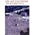 ���C���E�A�b�g�E�X���C���E�L���b�X�� [DVD]