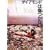�_�C�A�����h�͏����Ȃ� [DVD]