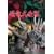 �����匈�� [DVD]