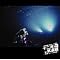 YUMI'S CD COLLECTION 2005 ���M�y�ҁ�