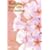 �݂�Ȃ̂��� �x�X�g�q�b�g�E�R���N�V���� [DVD]