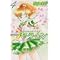 Sailor Moon/Sailor V Deluxe Mangá