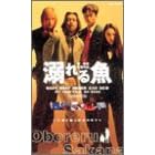 �M��鋛 [DVD]