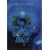 GIGS at BUDOKAN BEAT EMOTION ROCK�fN ROLL CIRCUS TOUR 1986.11.11~1987.2.24 [DVD]