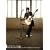 �܂����낢�J���o�XSE ~NAO-HIT TV LIVE TOUR Ver6.0 Special Edition [DVD]