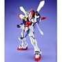 MG 1/100 �S�b�h�K���_��