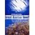 virtual trip �O���[�g�o���A���[�t �_�C�r���O�E�r���[ [DVD]