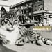 Mermaid Avenue, Vol. 2