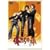 �������̗� VOL.9 [DVD]