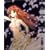 ���̏X�������������E 01<��������> [DVD]
