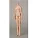 �I�r�c�{�f�B S60 27BD-F05N ����Body SBH-S �i�`������