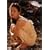 ���A [DVD]
