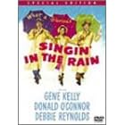 �J�ɉS���� 50���N�L�O�� �X�y�V�����E�G�f�B�V���� [DVD]