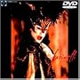 �J�X�g���[�g [DVD]