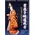 �����q�������� [DVD]