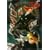 �T�C�{�[�O009 Vol.4 [DVD]