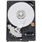 WESTERN DIGITAL 3.5�C���`����HDD 1TB IntelliSeek 16MB SATA 3.5inch(GP333) WD10EACS-D6B0