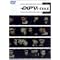 ��EXILE��