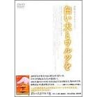 �������ƃ����c�� [DVD]