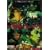�p���T�C�g�E�C�� [DVD]