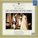 �t�B�K���̌���*�̌� [DVD]