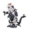 �ߋ� ZOIDS (001~072)