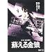 �h������T [DVD]