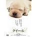 �N�C�[�� [DVD]
