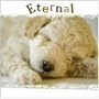 ETERNAL~�G�^�[�i��~