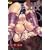 �閧�̊�n�Ł~�~�~ (���K�X�g�A�R�~�b�N�X�V���[�Y No. 45)