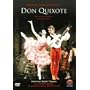 �~�n�C���E�o���V�j�R�t�́u�h���E�L�z�[�e�v [DVD]