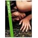 �������� [DVD]