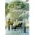 ���g���E���}���X [DVD]